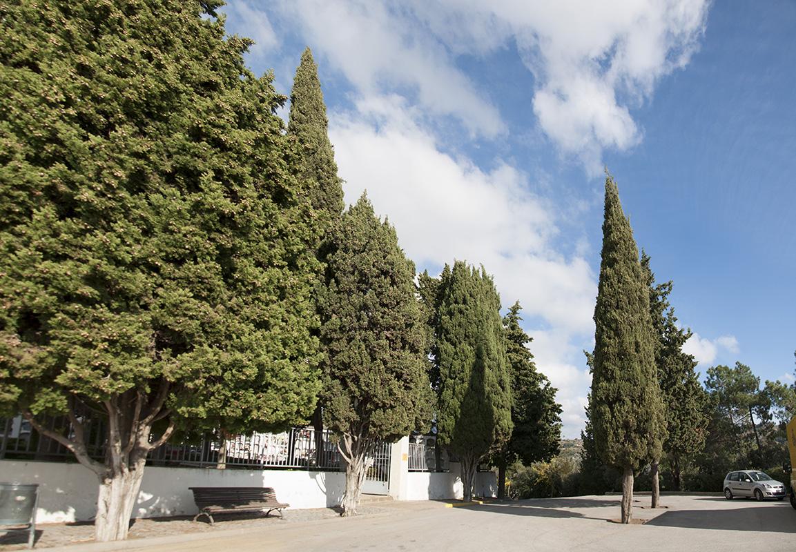 Façana del cementiri, al fons, la carretera que porta a Arenys de Munt.