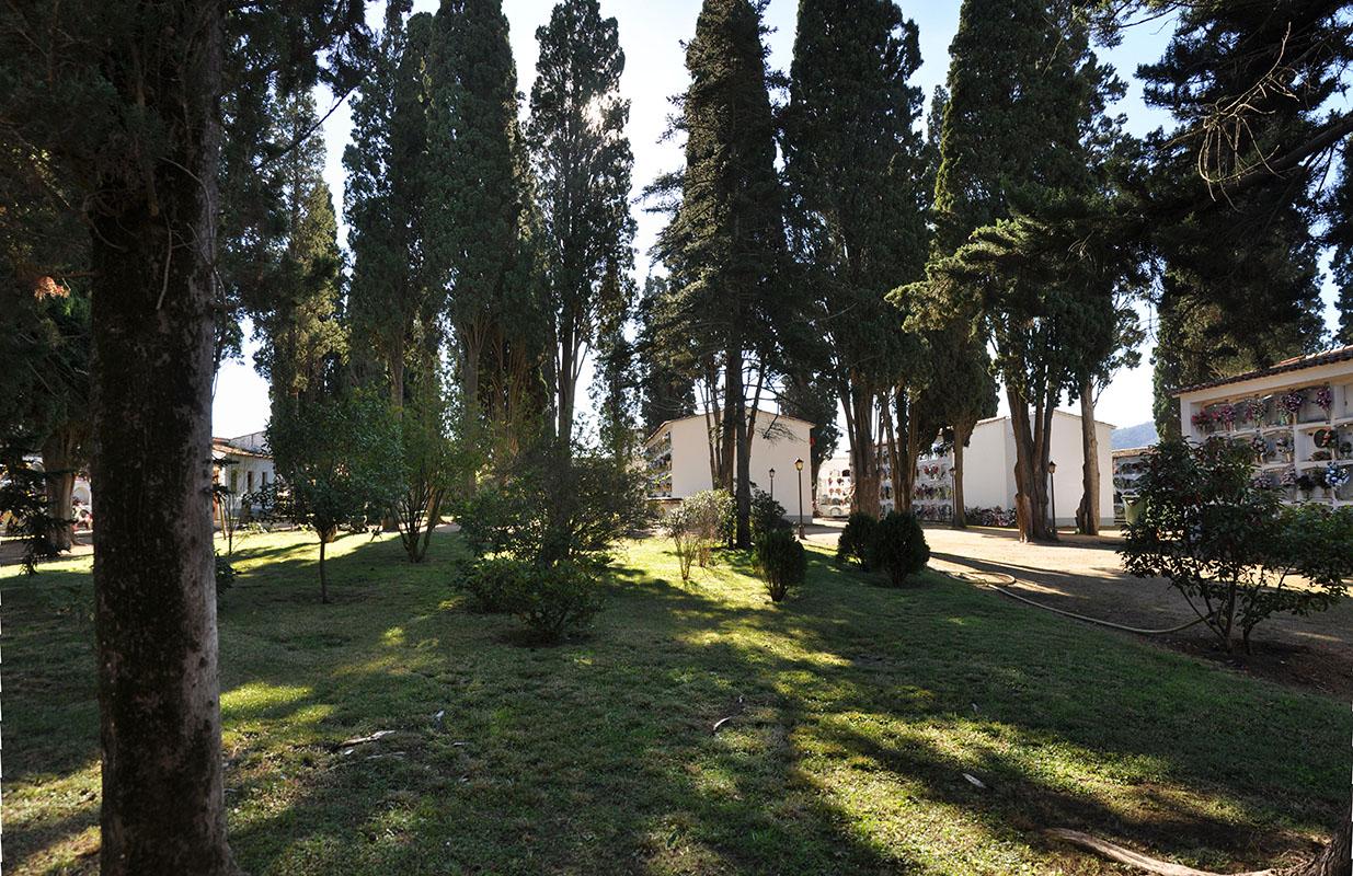 Els vells cementiris com aquest de Tordera sovint esdevenen museus botànics d’arbres monumentals.